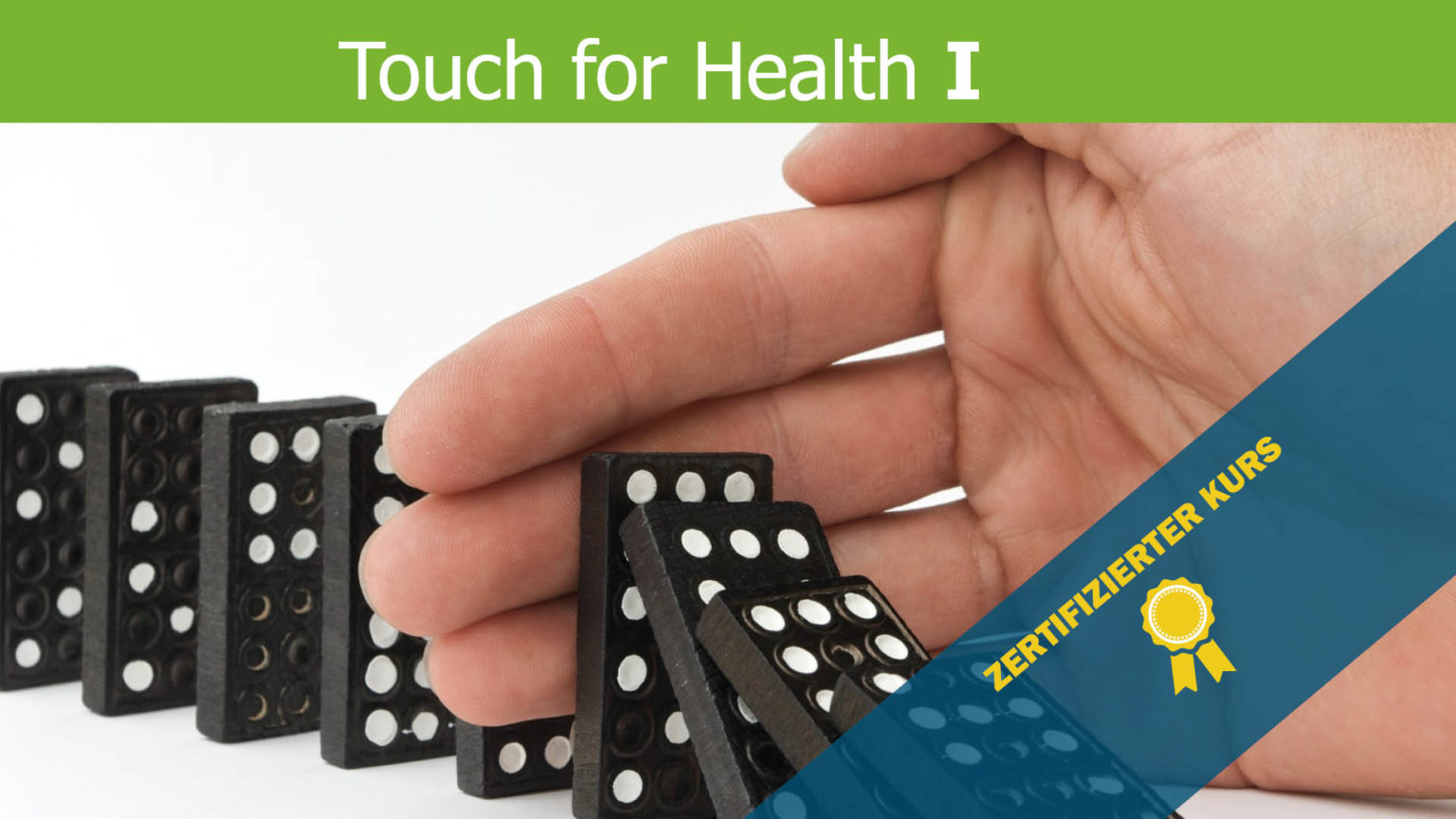 Touch for Health 1