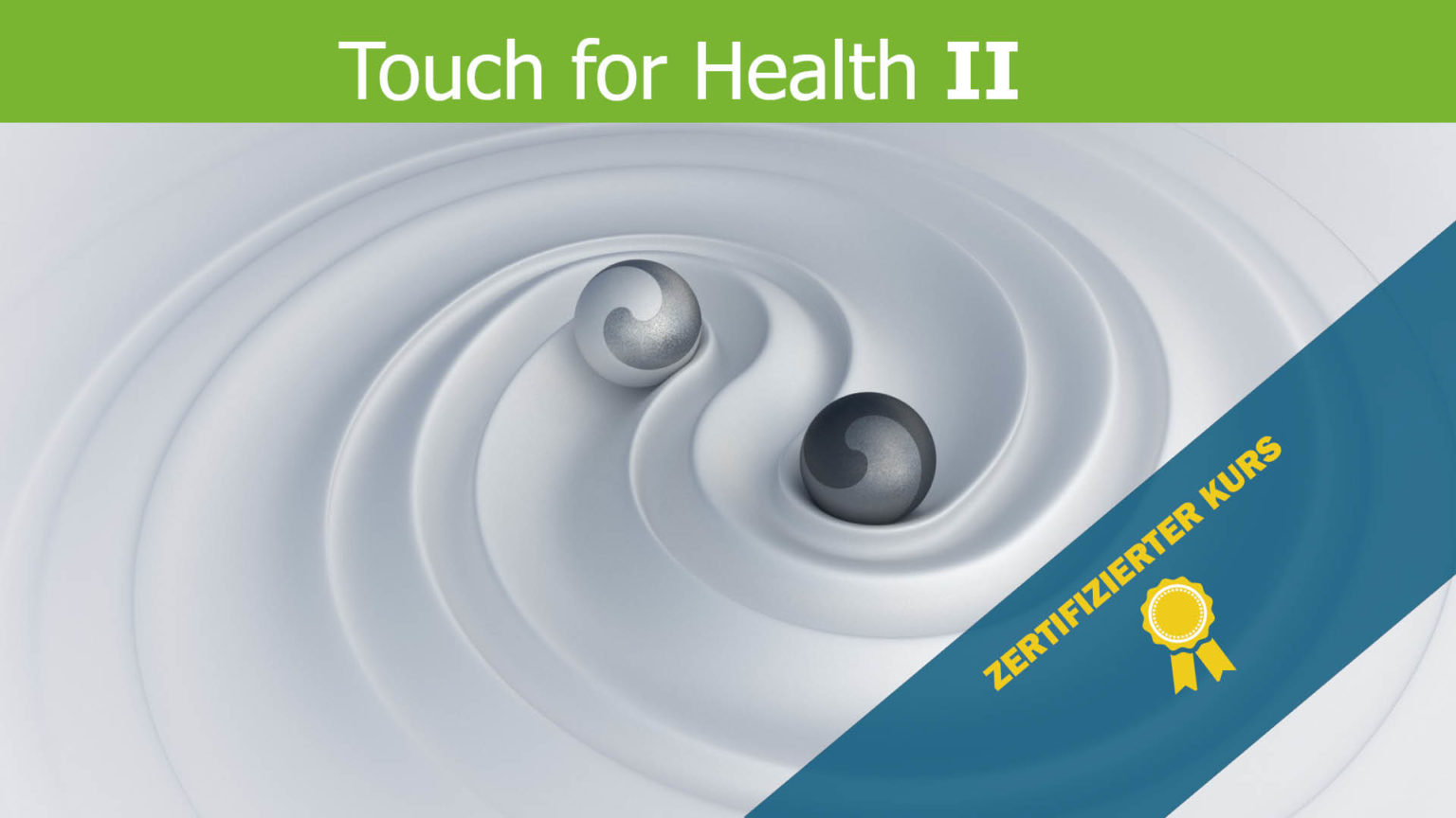 Touch for Health 2