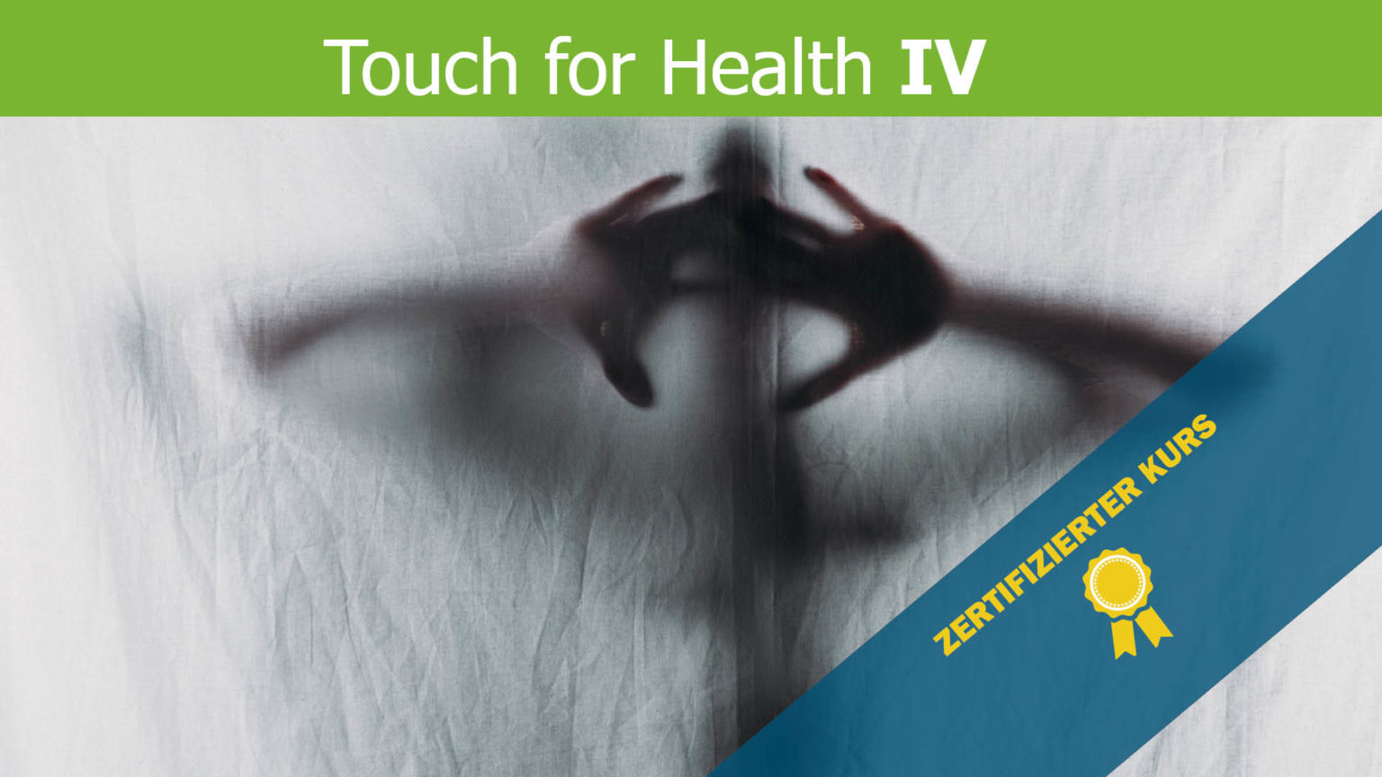 Touch for Health 4