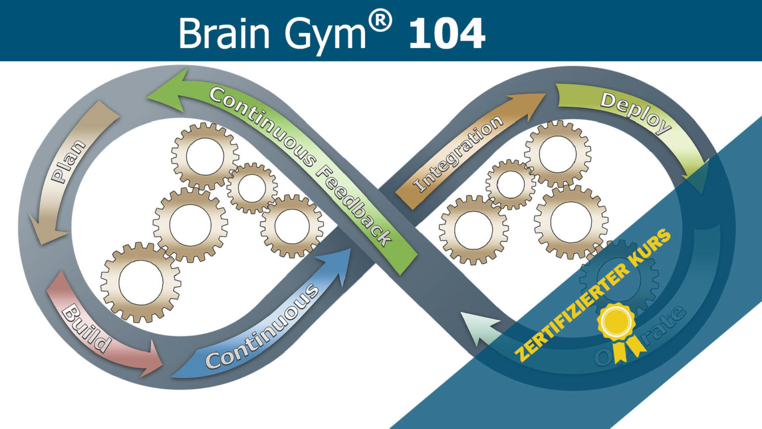 Brain Gym 104 Kurs, die 26 Brain Gym Bewegungen