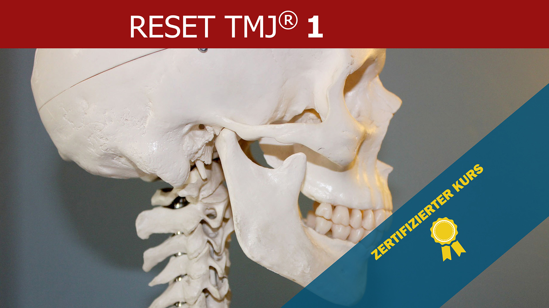 BraiNLP Akademie für Kinesiologie & Kommunikation
